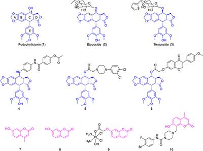 Novel Hybrids of Podophyllotoxin and Coumarin Inhibit the Growth and Migration of Human Oral Squamous Carcinoma Cells